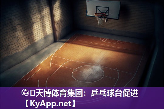 ⚽️天博体育集团:乒乓球台促进