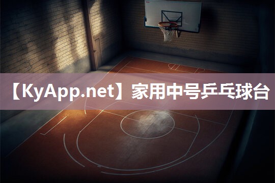 家用中号乒乓球台