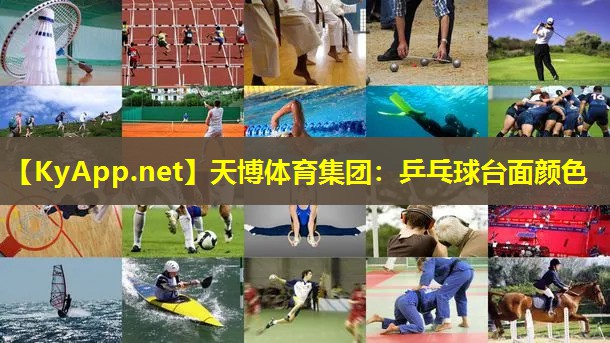 天博体育集团:乒乓球台面颜色