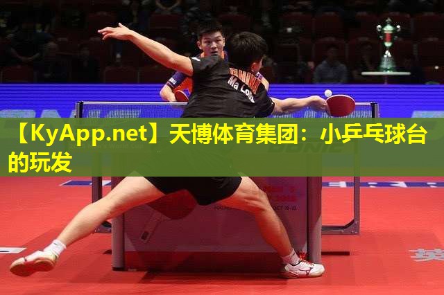 天博体育集团:小乒乓球台的玩发