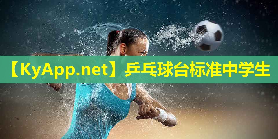 乒乓球台标准中学生