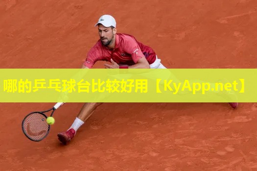哪的乒乓球台比较好用