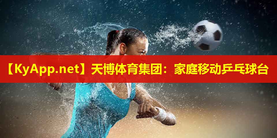 天博体育集团:家庭移动乒乓球台