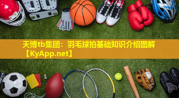 天博tb集团:羽毛球拍基础知识介绍图解