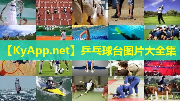 乒乓球台图片大全集