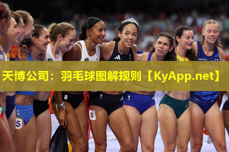 天博公司：羽毛球图解规则