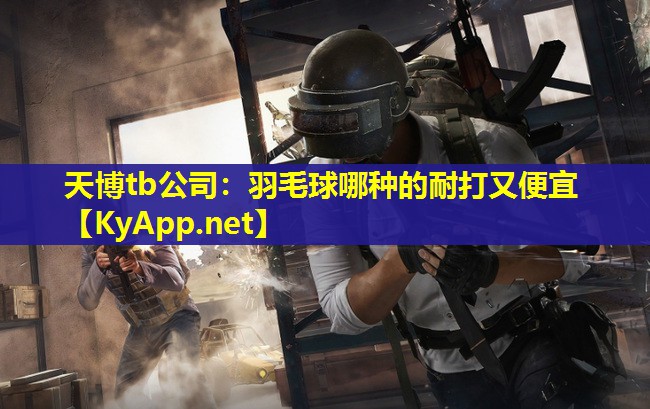 天博tb公司:羽毛球哪种的耐打又便宜
