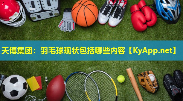 天博集团:羽毛球现状包括哪些内容