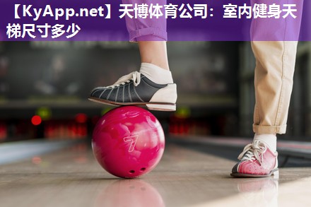 室内健身天梯尺寸多少