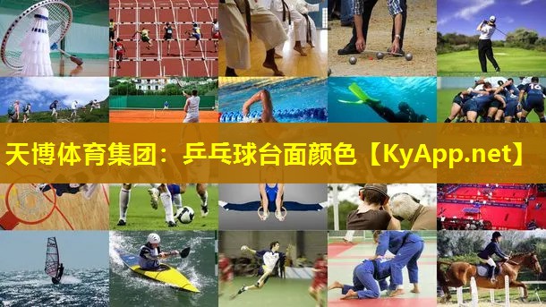 乒乓球台面颜色