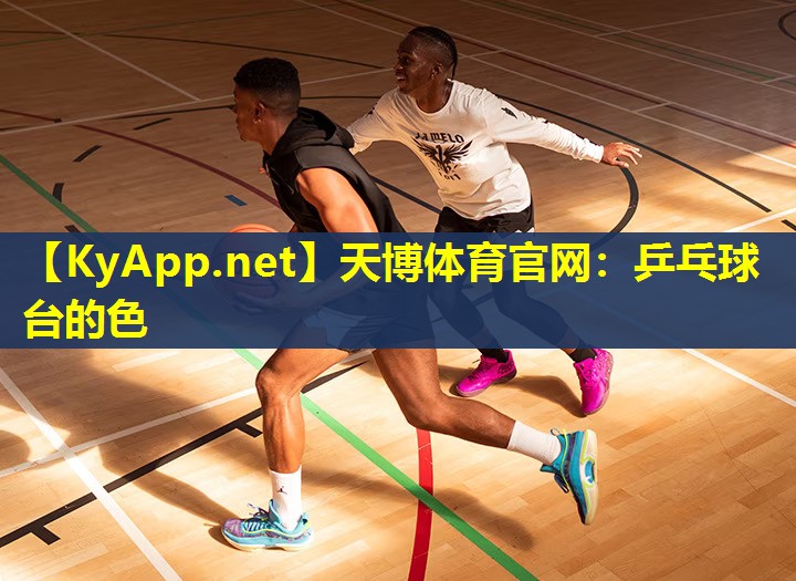 乒乓球台的色