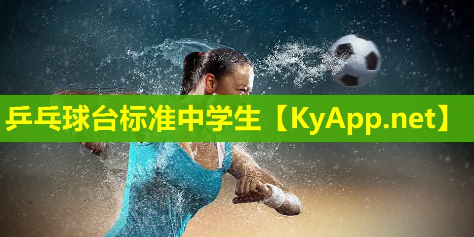 乒乓球台标准中学生