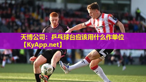 乒乓球台应该用什么作单位