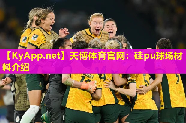 硅pu球场材料介绍
