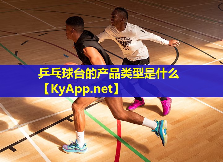 乒乓球台的产品类型是什么