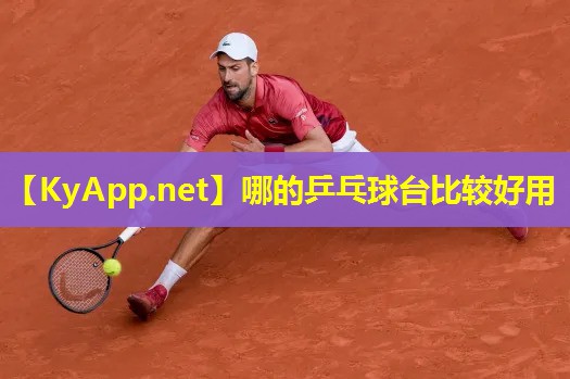 哪的乒乓球台比较好用