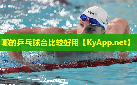 哪的乒乓球台比较好用