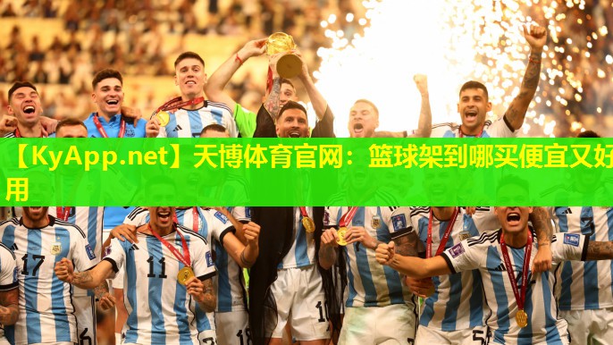 篮球架到哪买便宜又好用