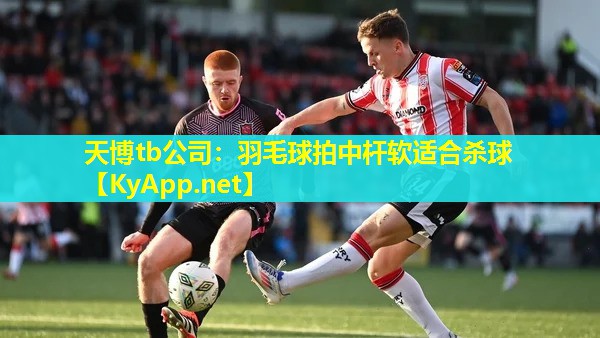 羽毛球拍中杆软适合杀球