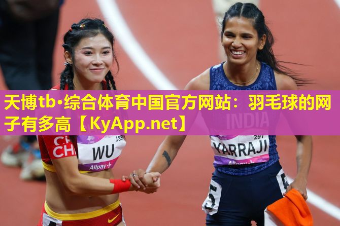 羽毛球的网子有多高