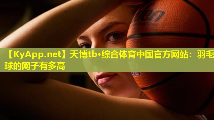 羽毛球的网子有多高