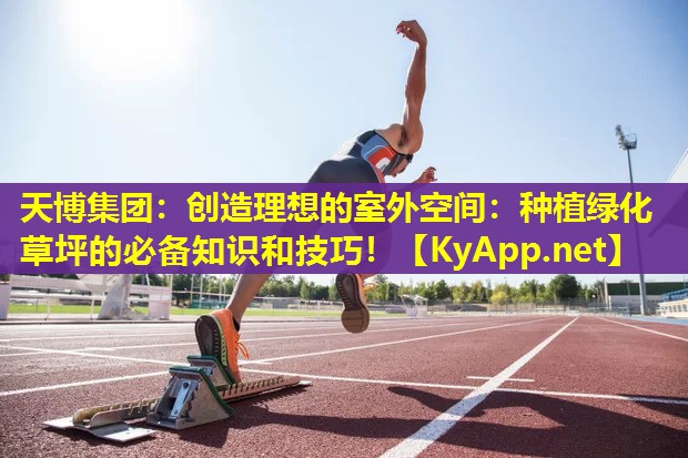 创造理想的室外空间：种植绿化草坪的必备知识和技巧！