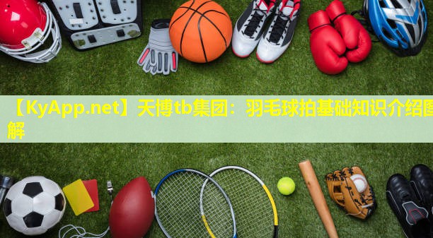 羽毛球拍基础知识介绍图解