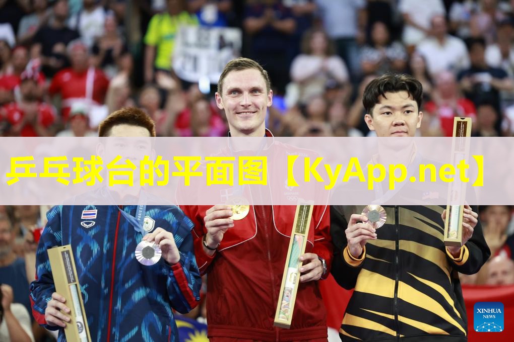 乒乓球台的平面图