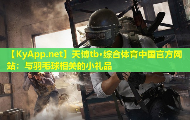 与羽毛球相关的小礼品