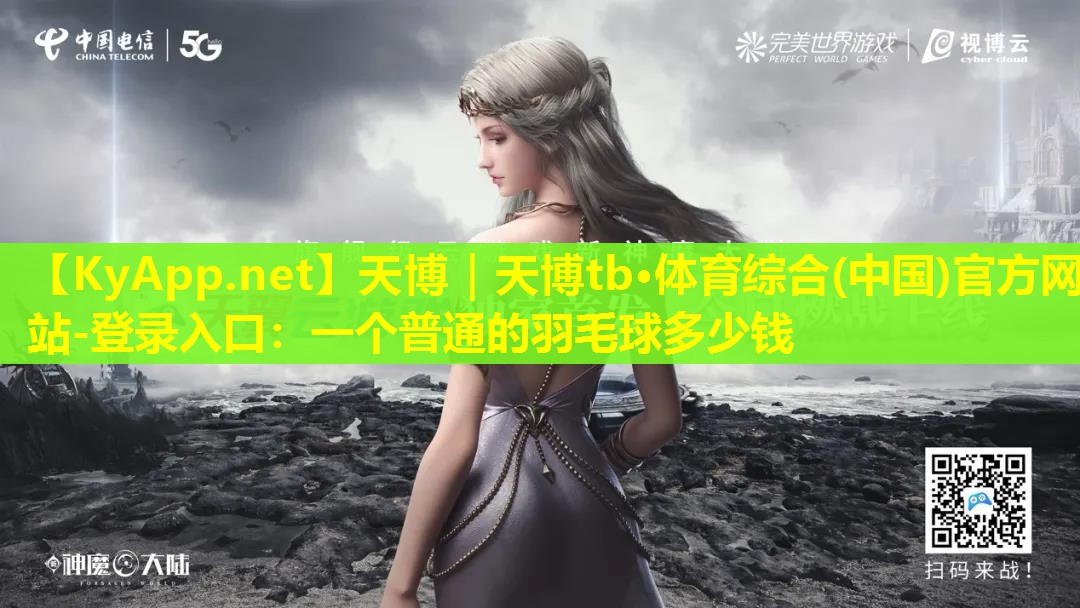 一个普通的羽毛球多少钱