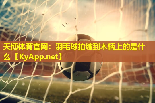 羽毛球拍缠到木柄上的是什么