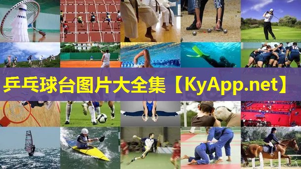 乒乓球台图片大全集