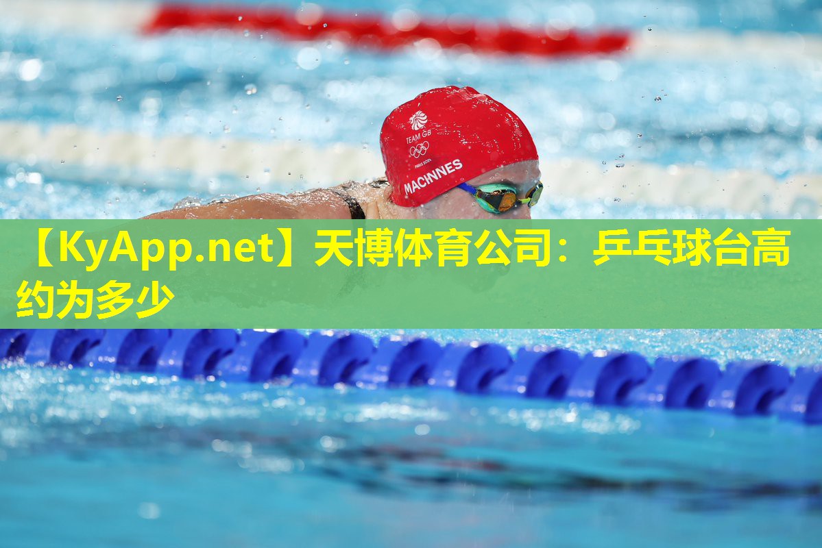 乒乓球台高约为多少