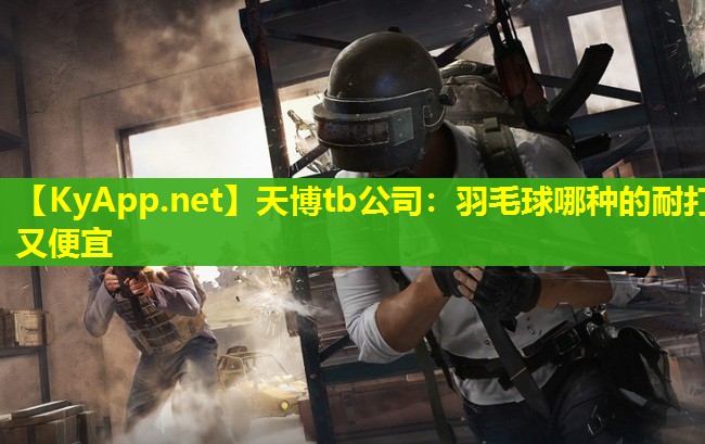 羽毛球哪种的耐打又便宜