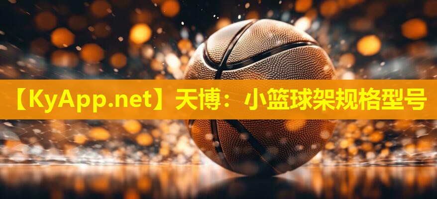 小篮球架规格型号