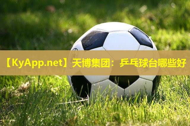乒乓球台哪些好