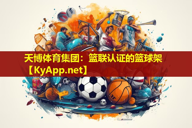 篮联认证的篮球架