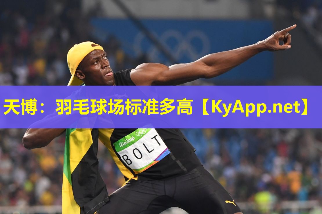 羽毛球场标准多高