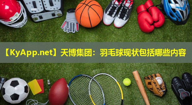 羽毛球现状包括哪些内容