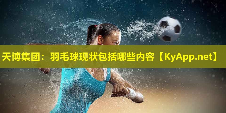 羽毛球现状包括哪些内容