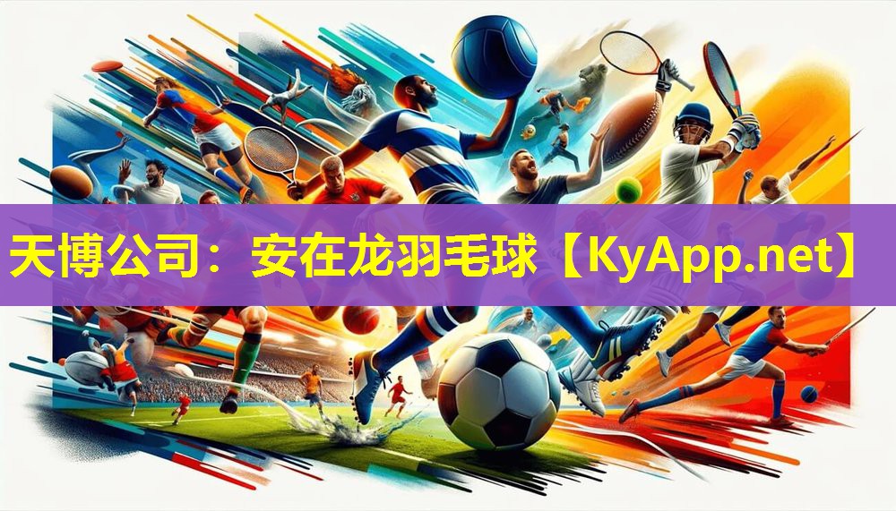 安在龙羽毛球