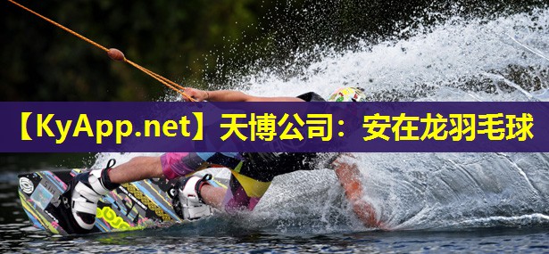 安在龙羽毛球